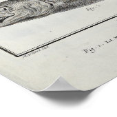 Cod, Tuna, Salmon and Sturgeon ポスター (角)