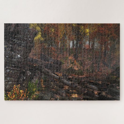 Coda ジグソーパズル (横)