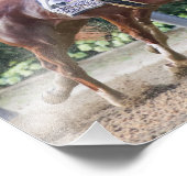 Code of Honor & Vino Rosso フォトプリント (角)