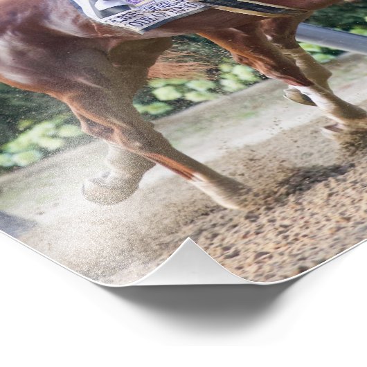 Code of Honor & Vino Rosso フォトプリント (角)