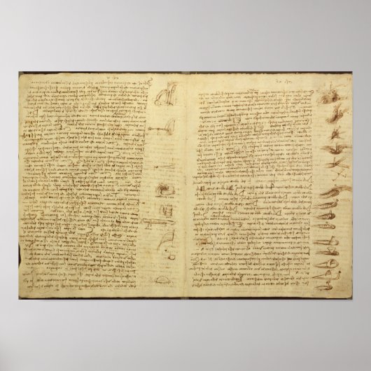 Codex Leicesterのページ， 1508-12 ポスター (正面)