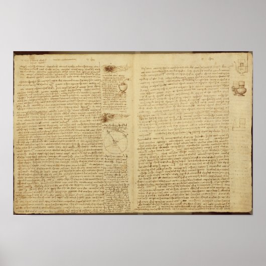 Codex Leicesterのページ， 1508-12 ポスター (正面)