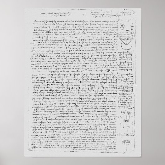 Codex Leicesterのページ， 1508-12 ポスター (正面)