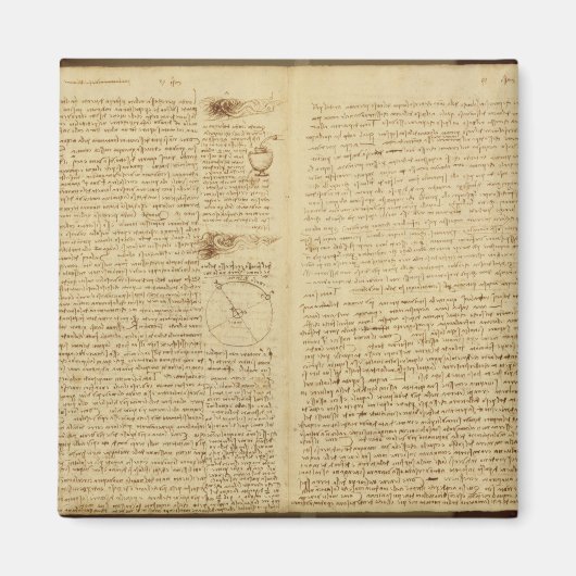 Codex Leicesterのページ, 1508-12 マグネット (正面)