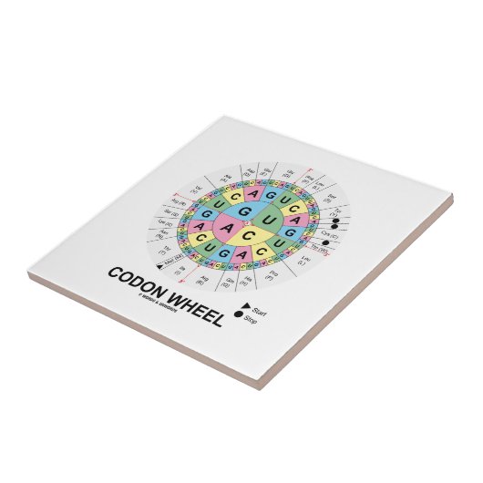 Codonの車輪(RNAのCodonsのアミノ酸) タイル (側面)