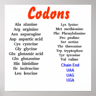 Codons ポスター