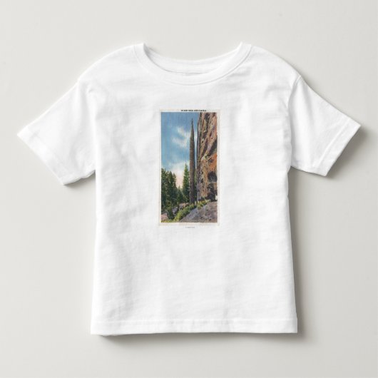 Codyのハイウェー、モンタナの眺めの煙突の石 トドラーTシャツ (正面)