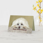 'Cody'グリーティングカードハッピーベルト誕生日! カード (黄色い花)