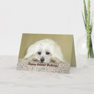 'Cody'グリーティングカードハッピーベルト誕生日! カード