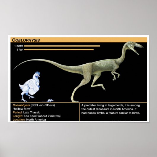 Coelophysis - Biology Jurassic ポスター (正面)