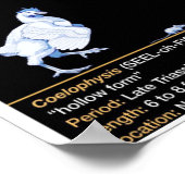 Coelophysis - Biology Jurassic ポスター (角)