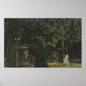 Coeur d'Alene, ID - View of City Park ポスター (正面)