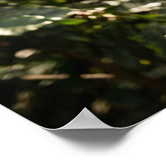 COFFEE - AROMA DELICIOSO ポスター (角)