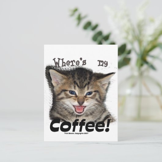 Coffee Catの場所 ポストカード (スタンド正面)