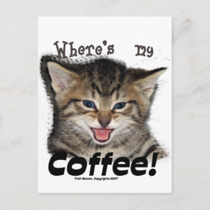 Coffee Catの場所 ポストカード