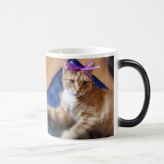 Coffee Mug cat モーフィングマグカップ
