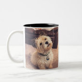 Coffee Mug –Waiting Puppy  Design ツートーンマグカップ (左)