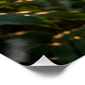 COFFEE QUEEN ポスター (コーナー)