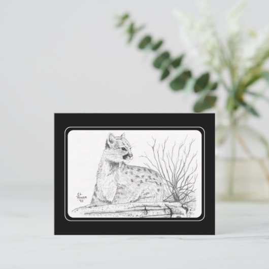 Cogar Kittenはがき ポストカード (スタンド正面)