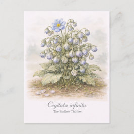 Cogitata infinita - 果てしない思想家 ボタニカル ポストカード