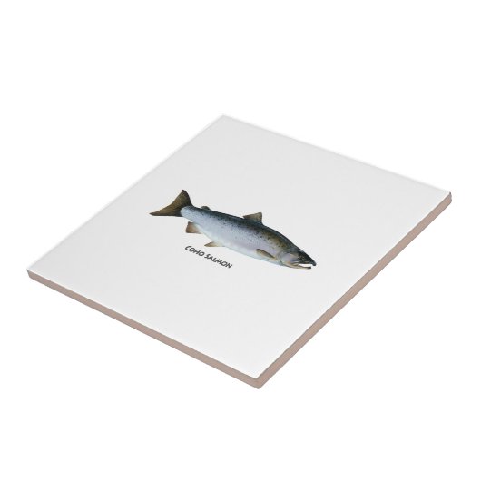 Coho Surmon Logo(タイトル) タイル (側面)