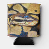 Coiled Ball Python顔クローズアップ 缶クーラー (正面)