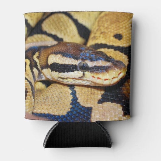 Coiled Ball Python顔クローズアップ 缶クーラー (正面)