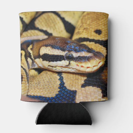 Coiled Ball Python顔クローズアップ 缶クーラー (裏面)