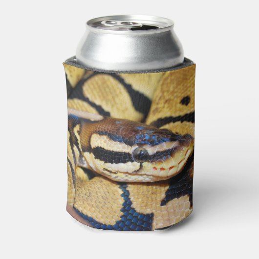 Coiled Ball Python顔クローズアップ 缶クーラー (缶裏面)