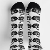 Coiled Rattlesnake Thunder_Cove ソックス (上部)