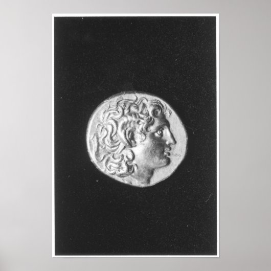 Coin bearing the head of Alexander the Great ポスター (正面)