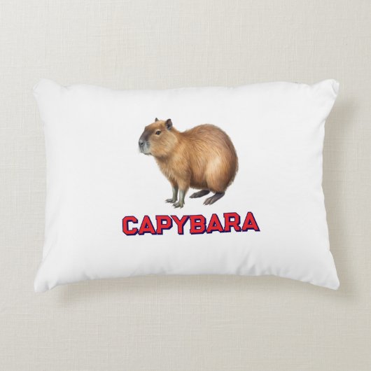 Cojin capybara アクセントクッション (正面)