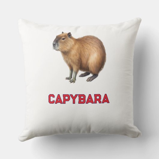 Cojin capybara para el hogar クッション (裏面)
