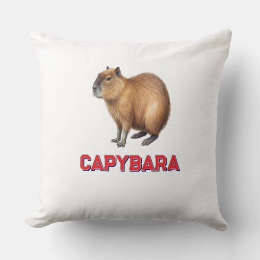 Cojin capybara para el hogar クッション (正面)