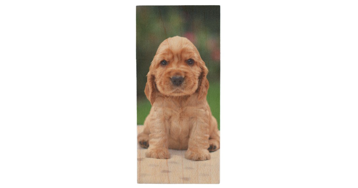 Cokerのスパニエル犬の子犬 ウッドusbフラッシュドライブ Zazzle Co Jp Cokerのスパニエル犬の子犬 ウッドusbフラッシュドライブ Zazzle Co Jp