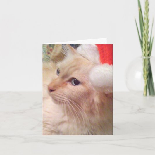 Cokie猫Smのクリスマスカード シーズンカード (正面)