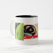 COL 14 ツートーンマグカップ (正面左)