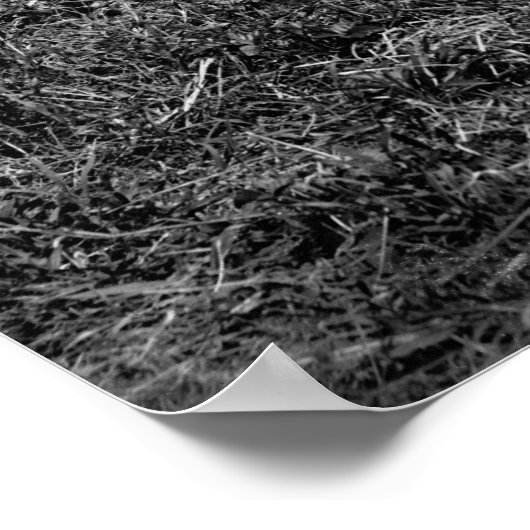 Cold Harbor Casualties: 1865 ポスター (角)