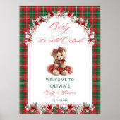 Cold Outside Teddy Bear Baby Shower Welcome ポスター (正面)