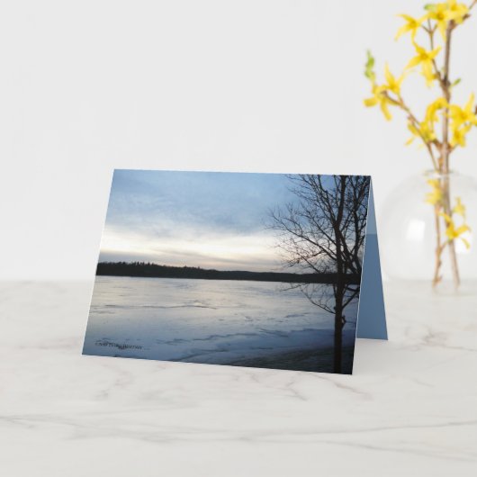 ColdScape カード (黄色い花)