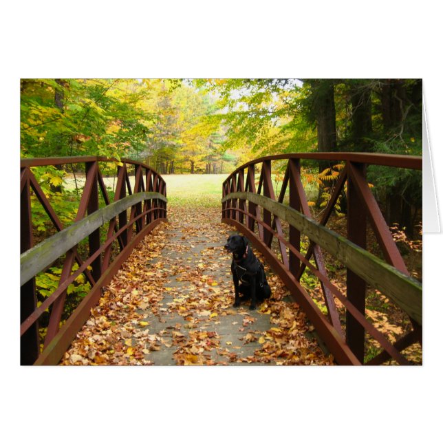 Coleが付いている橋 (正面横)