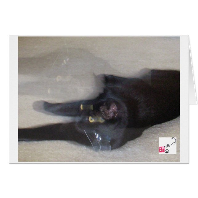 Cole -動き (正面横)