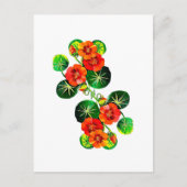 coleção Flores do Brasil capuchinha,  ポストカード (正面)