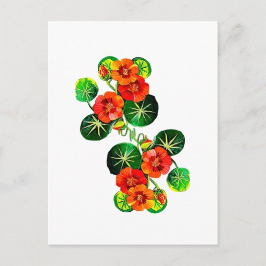 coleção Flores do Brasil capuchinha,  ポストカード (正面)