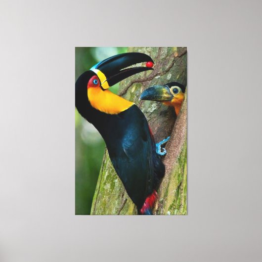 Coleção Onaitsirc Infinity de quadros de tela. キャンバスプリント (正面)