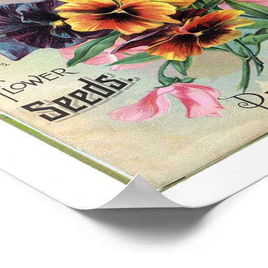 Coles Garden Annual 1897 ポスター (角)