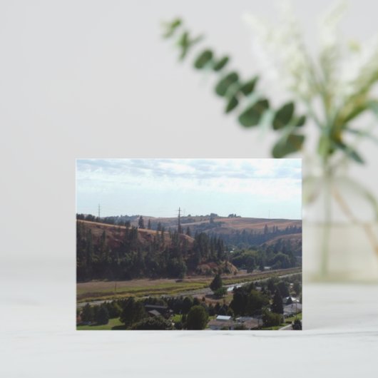 Colfaxの表示 ポストカード (スタンド正面)