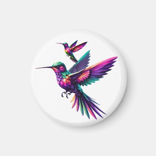 Colibrí prisma multicolor マグネット (正面)