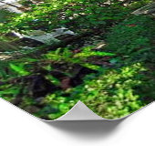 Colima，メキシコ14"x11"ポスター ポスター (角)