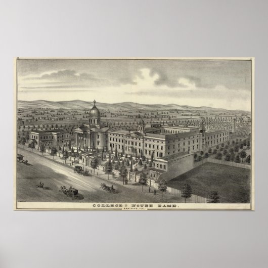 Coll of Notre Dame ポスター (正面)